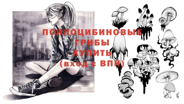 Альфа ПВП Аркадак